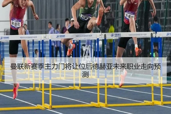曼联新赛季主力门将让位后德赫亚未来职业走向预测 - lesisports